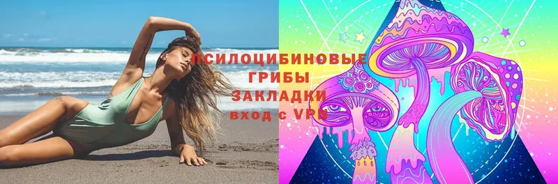 купить   blacksprut   Галлюциногенные грибы Cubensis  Лабинск 